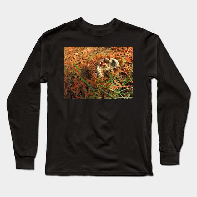 Chestnut Or Hedgehog? Long Sleeve T-Shirt by AlexaZari